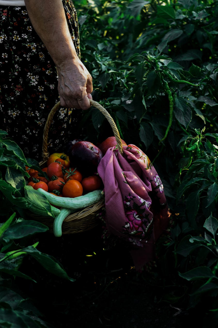 Farm harvest
